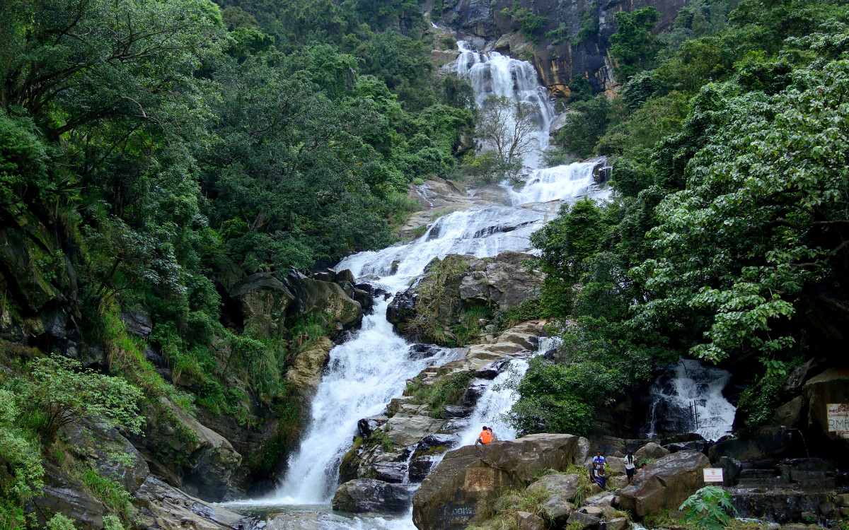 Sinharaja